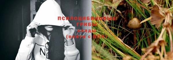 винт Нея
