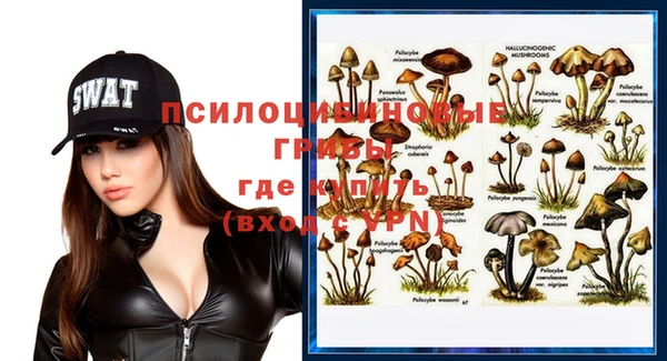 винт Нея