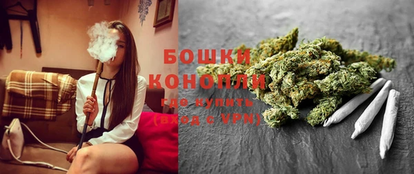 винт Нея