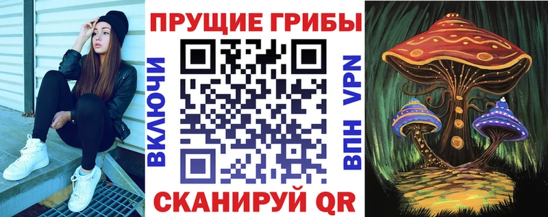 купить наркотики цена  Югорск  Галлюциногенные грибы мицелий 