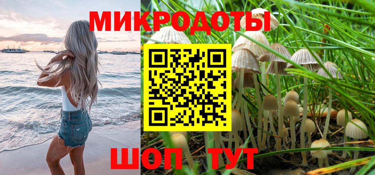 Галлюциногенные грибы Psilocybine cubensis Югорск