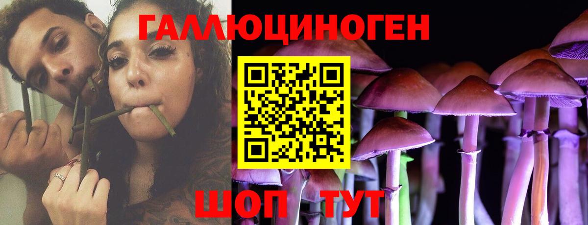 Югорск  где можно купить   Вход с VPN  Галлюциногенные грибы Cubensis 