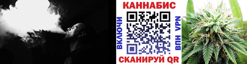 Конопля сатива Югорск
